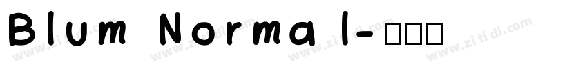 Blum Normal字体转换